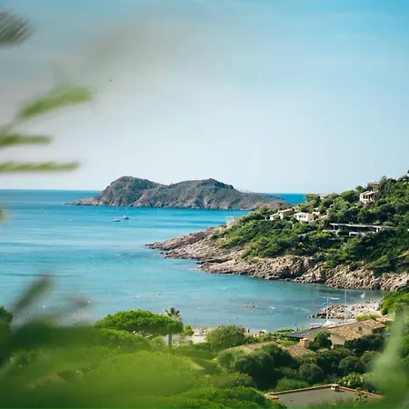 Gricard T5 Avec Piscine Vue Panoramique Sur Les Collines De Et Apercu Grimaud